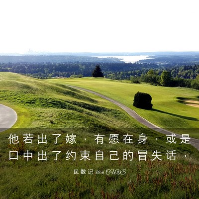 Picture 03 - 民 数 记 30:6 CUVS - 他 若 出 了 嫁 ， 有 愿 在 身 ， 或 - Bible Verse Picture