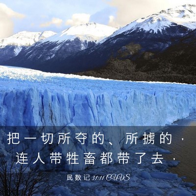 Picture 03 - 民 数 记 31:11 CUVS - 把 一 切 所 夺 的 、 所 掳 的 ， 连 - Bible Verse Picture