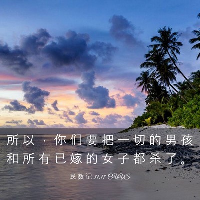 Picture 03 - 民 数 记 31:17 CUVS - 所 以 ， 你 们 要 把 一 切 的 男 孩 - Bible Verse Picture