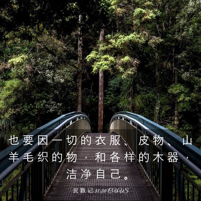 Picture 03 - 民 数 记 31:20 CUVS - 也 要 因 一 切 的 衣 服 、 皮 物 、 - Bible Verse Picture