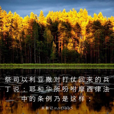 Picture 03 - 民 数 记 31:21 CUVS - 祭 司 以 利 亚 撒 对 打 仗 回 来 的 - Bible Verse Picture