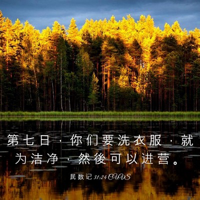 Picture 03 - 民 数 记 31:24 CUVS - 第 七 日 ， 你 们 要 洗 衣 服 ， 就 - Bible Verse Picture