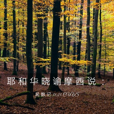 Picture 03 - 民 数 记 31:25 CUVS - 耶 和 华 晓 谕 摩 西 说 - Bible Verse Picture