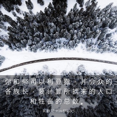 Picture 03 - 民 数 记 31:26 CUVS - 你 和 祭 司 以 利 亚 撒 ， 并 会 众 - Bible Verse Picture