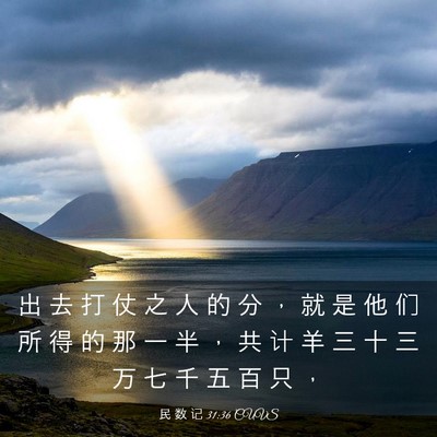Picture 03 - 民 数 记 31:36 CUVS - 出 去 打 仗 之 人 的 分 ， 就 是 他 - Bible Verse Picture