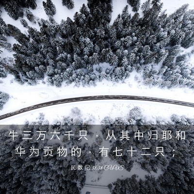 Picture 03 - 民 数 记 31:38 CUVS - 牛 三 万 六 千 只 ， 从 其 中 归 耶 - Bible Verse Picture
