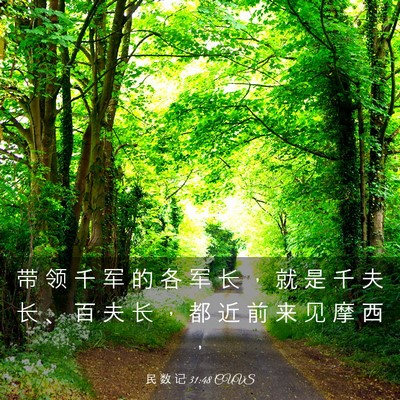 Picture 03 - 民 数 记 31:48 CUVS - 带 领 千 军 的 各 军 长 ， 就 是 千 - Bible Verse Picture