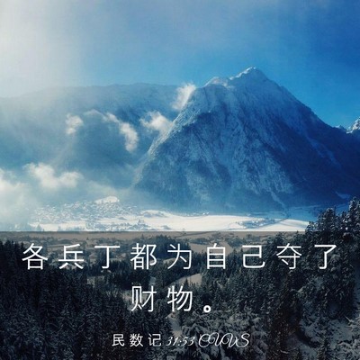 Picture 03 - 民 数 记 31:53 CUVS - 各 兵 丁 都 为 自 己 夺 了 财 物 - Bible Verse Picture
