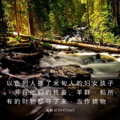 Picture 03 - 民 数 记 31:9 CUVS - 以 色 列 人 掳 了 米 甸 人 的 妇 女 - Bible Verse Picture