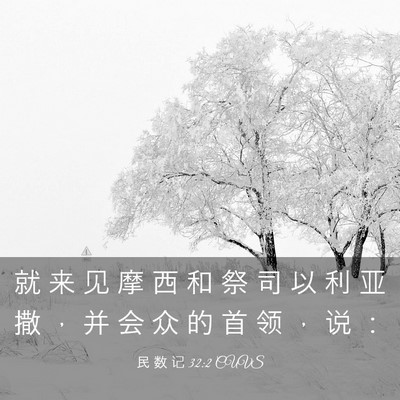 Picture 03 - 民 数 记 32:2 CUVS - 就 来 见 摩 西 和 祭 司 以 利 亚 撒 - Bible Verse Picture