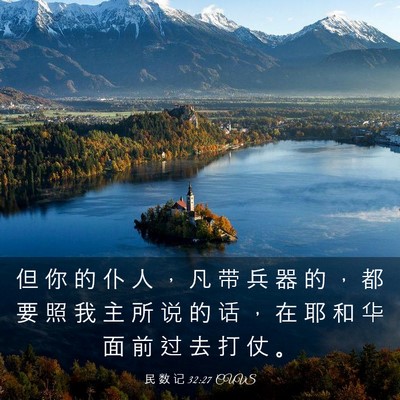 Picture 03 - 民 数 记 32:27 CUVS - 但 你 的 仆 人 ， 凡 带 兵 器 的 ， - Bible Verse Picture