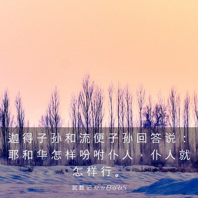 Picture 03 - 民 数 记 32:31 CUVS - 迦 得 子 孙 和 流 便 子 孙 回 答 说 - Bible Verse Picture