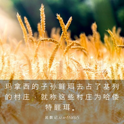 Picture 03 - 民 数 记 32:41 CUVS - 玛 拿 西 的 子 孙 睚 珥 去 占 了 基 - Bible Verse Picture