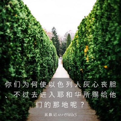 Picture 03 - 民 数 记 32:7 CUVS - 你 们 为 何 使 以 色 列 人 灰 心 丧 - Bible Verse Picture