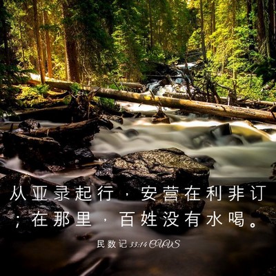 Picture 03 - 民 数 记 33:14 CUVS - 从 亚 录 起 行 ， 安 营 在 利 非 订 - Bible Verse Picture