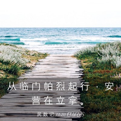 Picture 03 - 民 数 记 33:20 CUVS - 从 临 门 帕 烈 起 行 ， 安 营 在 立 - Bible Verse Picture