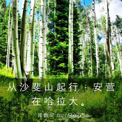 Picture 03 - 民 数 记 33:24 CUVS - 从 沙 斐 山 起 行 ， 安 营 在 哈 拉 - Bible Verse Picture