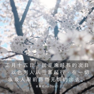 Picture 03 - 民 数 记 33:3 CUVS - 正 月 十 五 日 ， 就 是 逾 越 节 的 - Bible Verse Picture