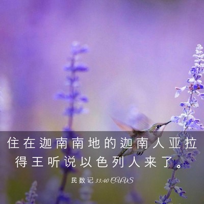 Picture 03 - 民 数 记 33:40 CUVS - 住 在 迦 南 南 地 的 迦 南 人 亚 拉 - Bible Verse Picture