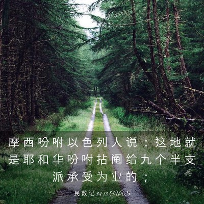 Picture 03 - 民 数 记 34:13 CUVS - 摩 西 吩 咐 以 色 列 人 说 ： 这 地 - Bible Verse Picture