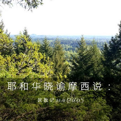 Picture 03 - 民 数 记 34:16 CUVS - 耶 和 华 晓 谕 摩 西 说 - Bible Verse Picture