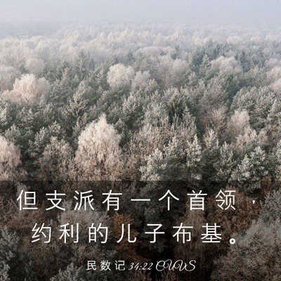 Picture 03 - 民 数 记 34:22 CUVS - 但 支 派 有 一 个 首 领 ， 约 利 的 - Bible Verse Picture