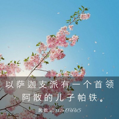 Picture 03 - 民 数 记 34:26 CUVS - 以 萨 迦 支 派 有 一 个 首 领 ， 阿 - Bible Verse Picture