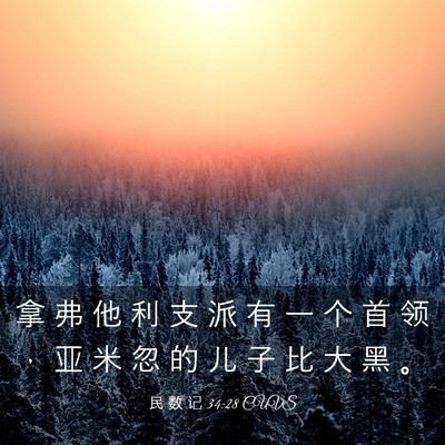 Picture 03 - 民 数 记 34:28 CUVS - 拿 弗 他 利 支 派 有 一 个 首 领 ， - Bible Verse Picture