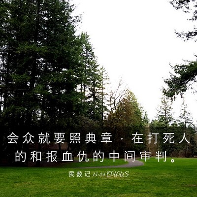 Picture 03 - 民 数 记 35:24 CUVS - 会 众 就 要 照 典 章 ， 在 打 死 人 - Bible Verse Picture