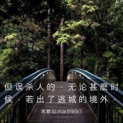 Picture 03 - 民 数 记 35:26 CUVS - 但 误 杀 人 的 ， 无 论 甚 麽 时 候 - Bible Verse Picture