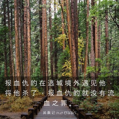 Picture 03 - 民 数 记 35:27 CUVS - 报 血 仇 的 在 逃 城 境 外 遇 见 他 - Bible Verse Picture