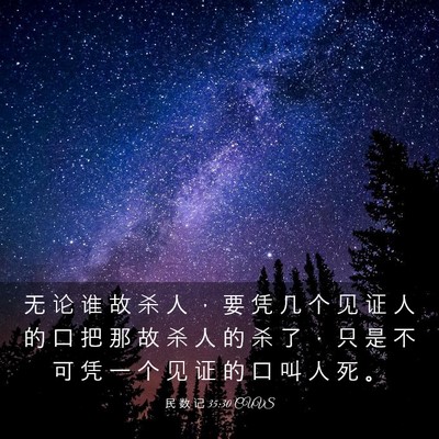 Picture 03 - 民 数 记 35:30 CUVS - 无 论 谁 故 杀 人 ， 要 凭 几 个 见 - Bible Verse Picture