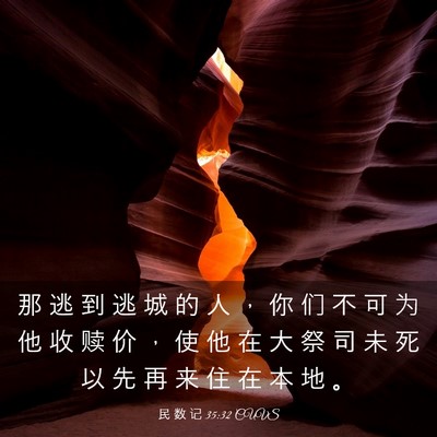 Picture 03 - 民 数 记 35:32 CUVS - 那 逃 到 逃 城 的 人 ， 你 们 不 可 - Bible Verse Picture