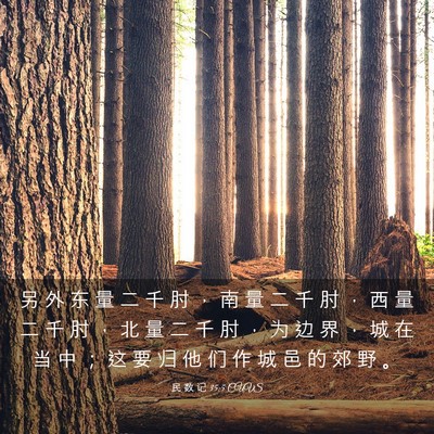 Picture 03 - 民 数 记 35:5 CUVS - 另 外 东 量 二 千 肘 ， 南 量 二 千 - Bible Verse Picture