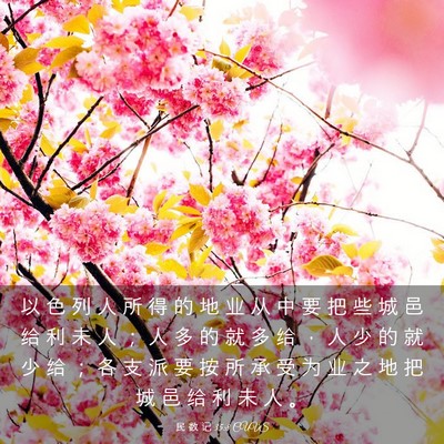 Picture 03 - 民 数 记 35:8 CUVS - 以 色 列 人 所 得 的 地 业 从 中 要 - Bible Verse Picture