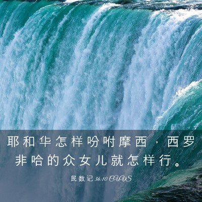 Picture 03 - 民 数 记 36:10 CUVS - 耶 和 华 怎 样 吩 咐 摩 西 ， 西 罗 - Bible Verse Picture