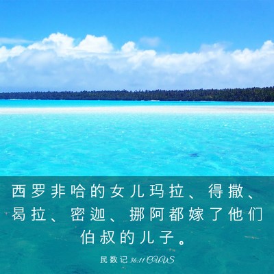 Picture 03 - 民 数 记 36:11 CUVS - 西 罗 非 哈 的 女 儿 玛 拉 、 得 撒 - Bible Verse Picture