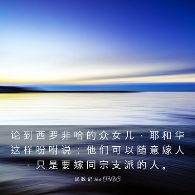 Picture 03 - 民 数 记 36:6 CUVS - 论 到 西 罗 非 哈 的 众 女 儿 ， 耶 - Bible Verse Picture