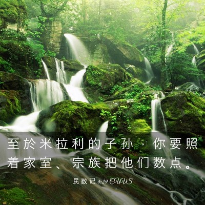 Picture 03 - 民 数 记 4:29 CUVS - 至 於 米 拉 利 的 子 孙 ， 你 要 照 - Bible Verse Picture