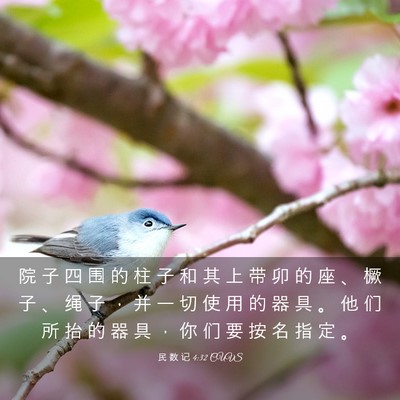 Picture 03 - 民 数 记 4:32 CUVS - 院 子 四 围 的 柱 子 和 其 上 带 卯 - Bible Verse Picture