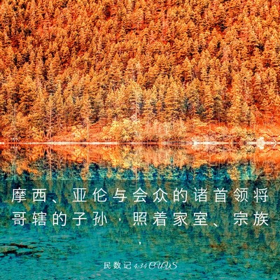 Picture 03 - 民 数 记 4:34 CUVS - 摩 西 、 亚 伦 与 会 众 的 诸 首 领 - Bible Verse Picture