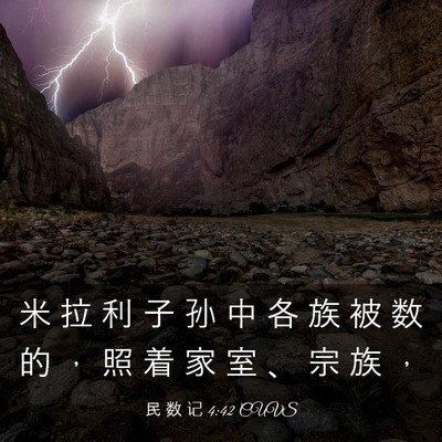 Picture 03 - 民 数 记 4:42 CUVS - 米 拉 利 子 孙 中 各 族 被 数 的 ， - Bible Verse Picture