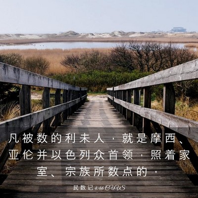 Picture 03 - 民 数 记 4:46 CUVS - 凡 被 数 的 利 未 人 ， 就 是 摩 西 - Bible Verse Picture