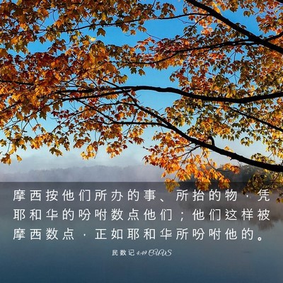 Picture 03 - 民 数 记 4:49 CUVS - 摩 西 按 他 们 所 办 的 事 、 所 抬 - Bible Verse Picture