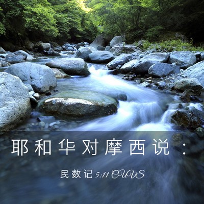 Picture 03 - 民 数 记 5:11 CUVS - 耶 和 华 对 摩 西 说 - Bible Verse Picture