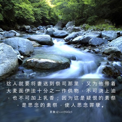 Picture 03 - 民 数 记 5:15 CUVS - 这 人 就 要 将 妻 送 到 祭 司 那 里 - Bible Verse Picture