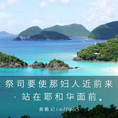 Picture 03 - 民 数 记 5:16 CUVS - 祭 司 要 使 那 妇 人 近 前 来 ， 站 - Bible Verse Picture