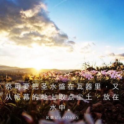 Picture 03 - 民 数 记 5:17 CUVS - 祭 司 要 把 圣 水 盛 在 瓦 器 里 ， - Bible Verse Picture