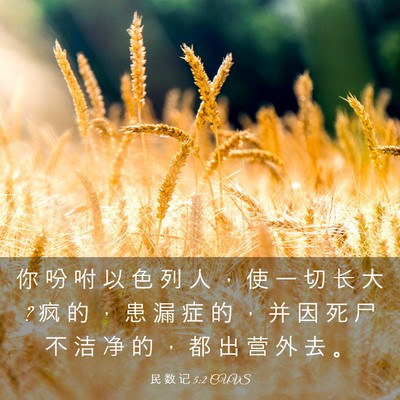 Picture 03 - 民 数 记 5:2 CUVS - 你 吩 咐 以 色 列 人 ， 使 一 切 长 - Bible Verse Picture