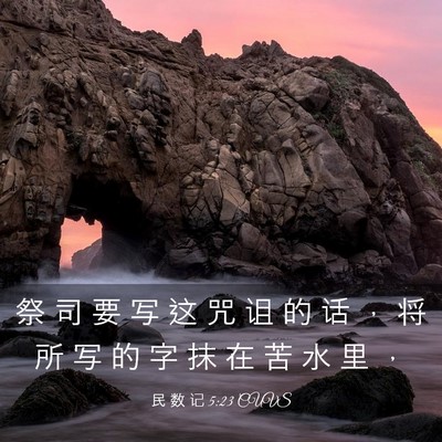 Picture 03 - 民 数 记 5:23 CUVS - 祭 司 要 写 这 咒 诅 的 话 ， 将 所 - Bible Verse Picture